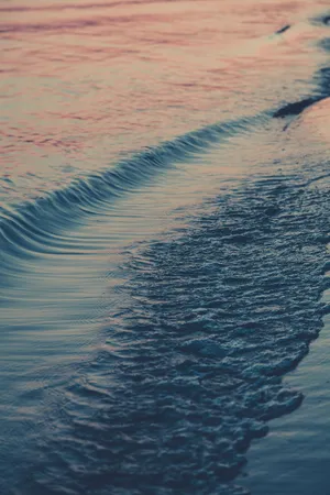 大海 浪花 涨潮