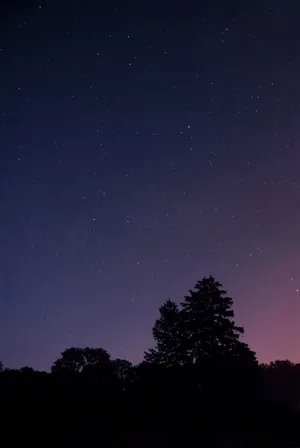 繁星点点 星空 星星
