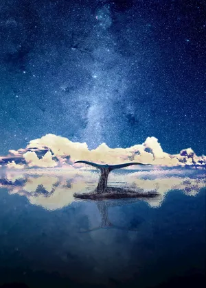 星空 鲸鱼 黄昏晚霞插画