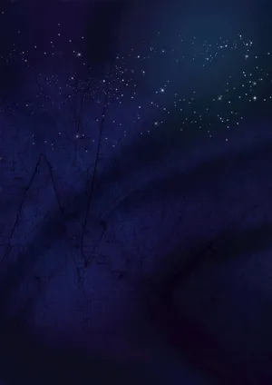 星空 树荫插画