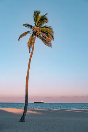 海景沙滩棕榈树热带风景5