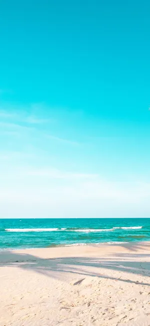 蔚蓝天空沙滩的美丽风景