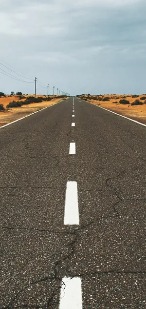 欧美戈壁平地的柏油公路高清