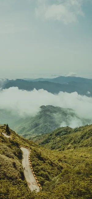 云海围绕的绿色大山，大山间的公路风景