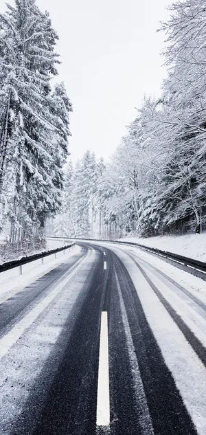 被雪覆盖的林中公路唯美摄影