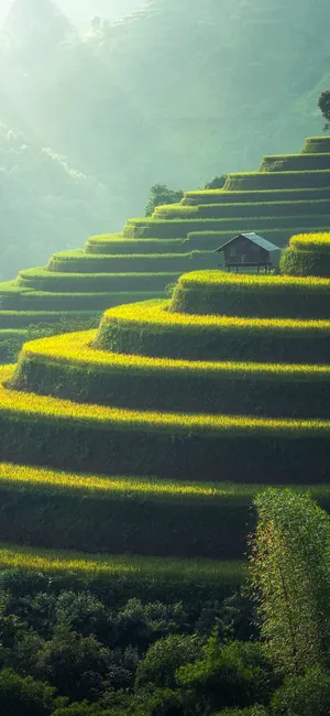 乡村特色的梯田唯美风景