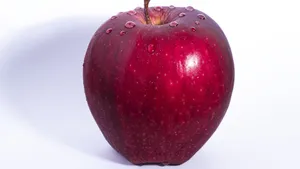 诱人的红苹果图片_10