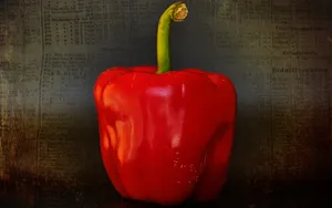 蔬菜甜椒图片_7