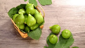 超清无花果图片壁纸_12