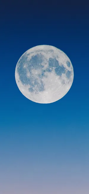 黄昏的一轮大大的满月高清风景壁纸