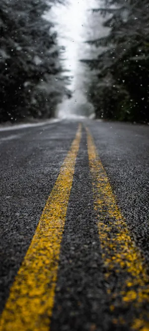 公路