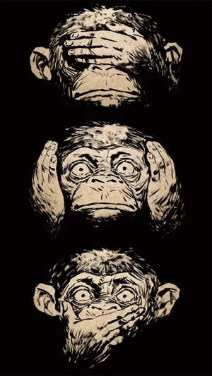 Monkeys第1张