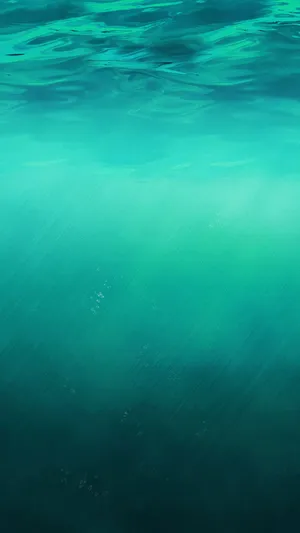 水波纹