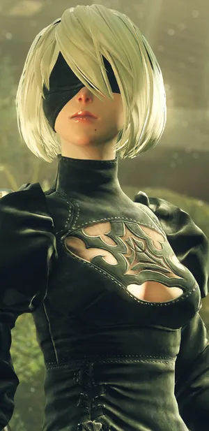 NieR: Automata尼尔：机械纪元游戏壁纸图片