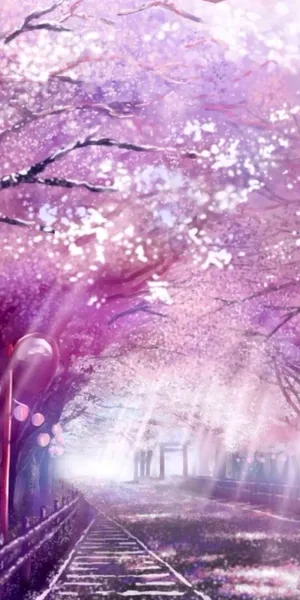 樱花飞舞的唯美小径