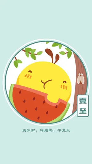24节气夏至