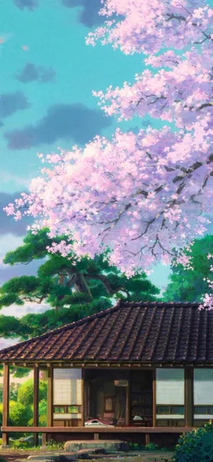 绝美的动漫樱花_1