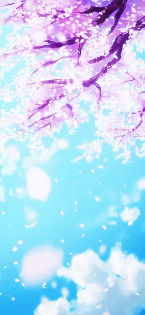 动漫樱花满树烂漫