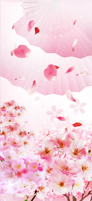 漂亮的动漫樱花