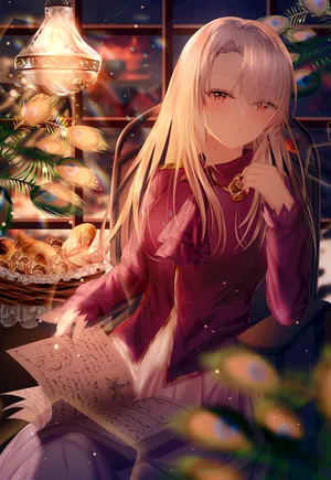 伊莉雅丝菲尔冯爱因兹贝伦（Fate）阅读 书籍