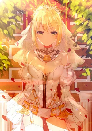 嫁王Saber Bride 尼禄克劳狄乌斯 动漫