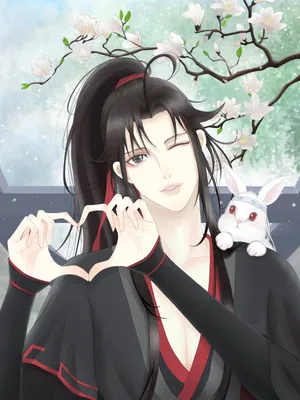 魔道祖师魏婴魏无羡5