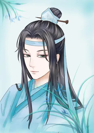 魔道祖师蓝湛蓝忘机2