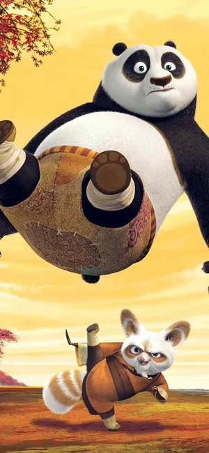 中国风动漫电影《功夫熊猫》剧照海报第1张
