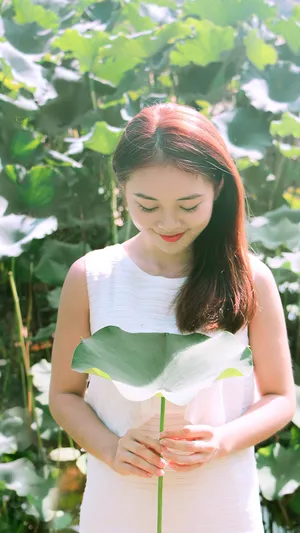 像莲花一样的美女