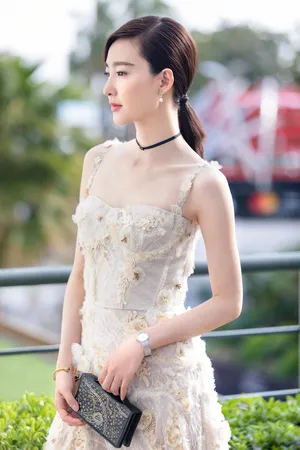 王丽坤美丽裙子