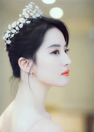 刘亦菲完美侧颜