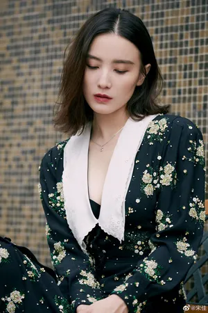 宋佳成熟女人