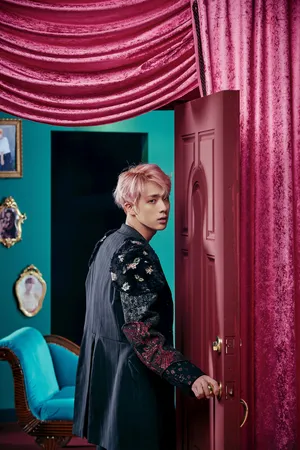 防弹少年团金硕珍 Jin帷幕写真