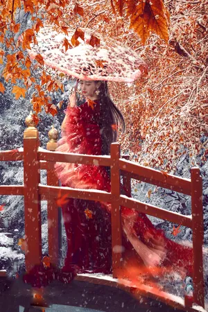 张天爱桥 雪花