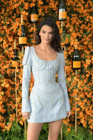 肯达尔·詹娜（Kendall Jenner）45