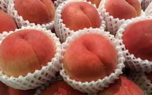 甜蜜多汁的水蜜桃图片_16