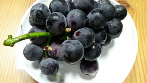 诱人的葡萄图片_6