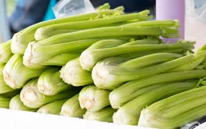 芹菜高清图片大全_2