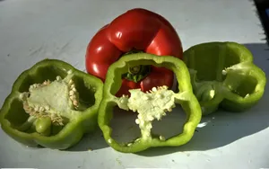 红色辣椒图片壁纸_9