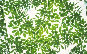 植物花卉背景图片素材_3