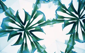 植物花卉背景图片素材_10