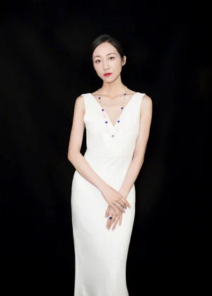 美女明星韩雪27