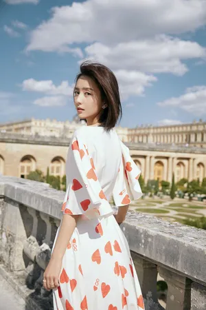 美女明星佟丽娅24