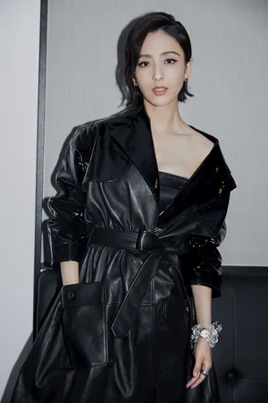 美女明星佟丽娅22