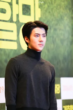吴世勋EXO成员14