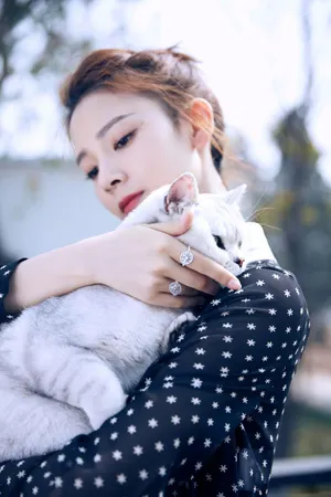 陈瑶的猫