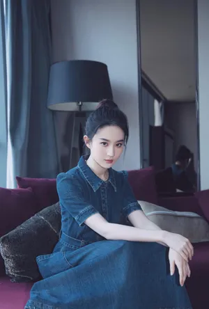 刘亦菲No29