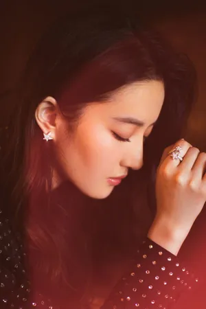 刘亦菲No23