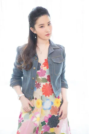 刘亦菲No22