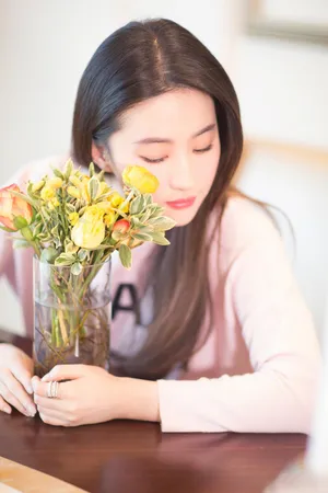 刘亦菲No19